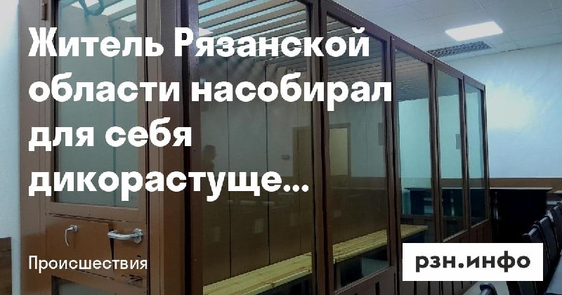 Фото поста канала  Новости Рязани • РЗН.инфо