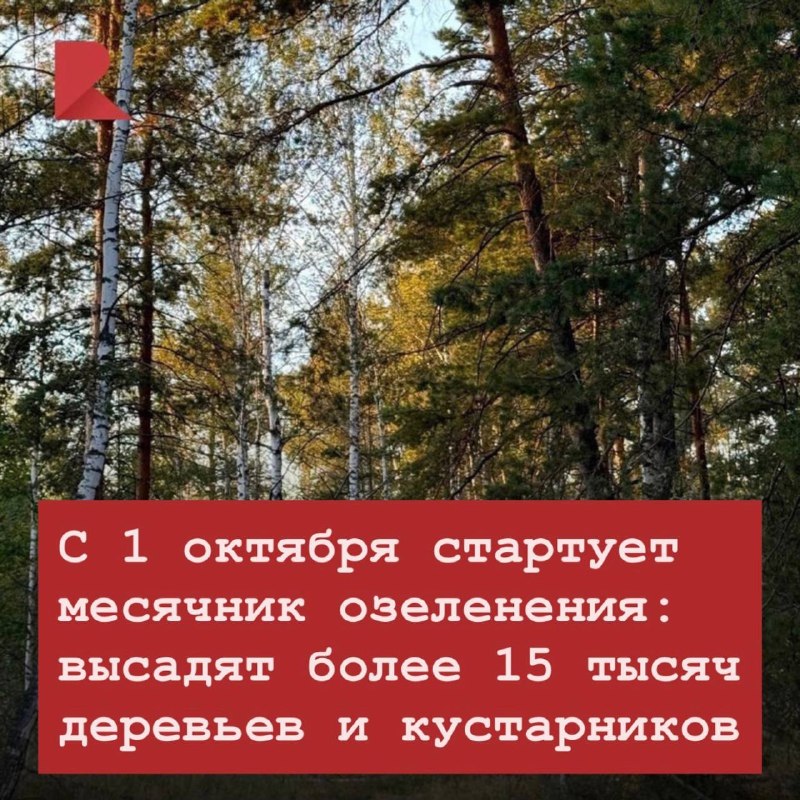 Фото поста канала RZN LIFE | ЖИЗНЬ РЯЗАНИ | РЯЗАНЬ