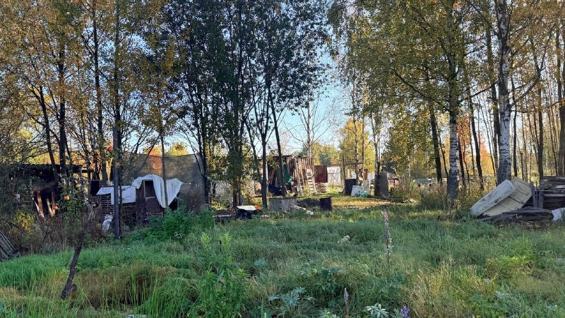 Фото поста канала  Балтийский болтун