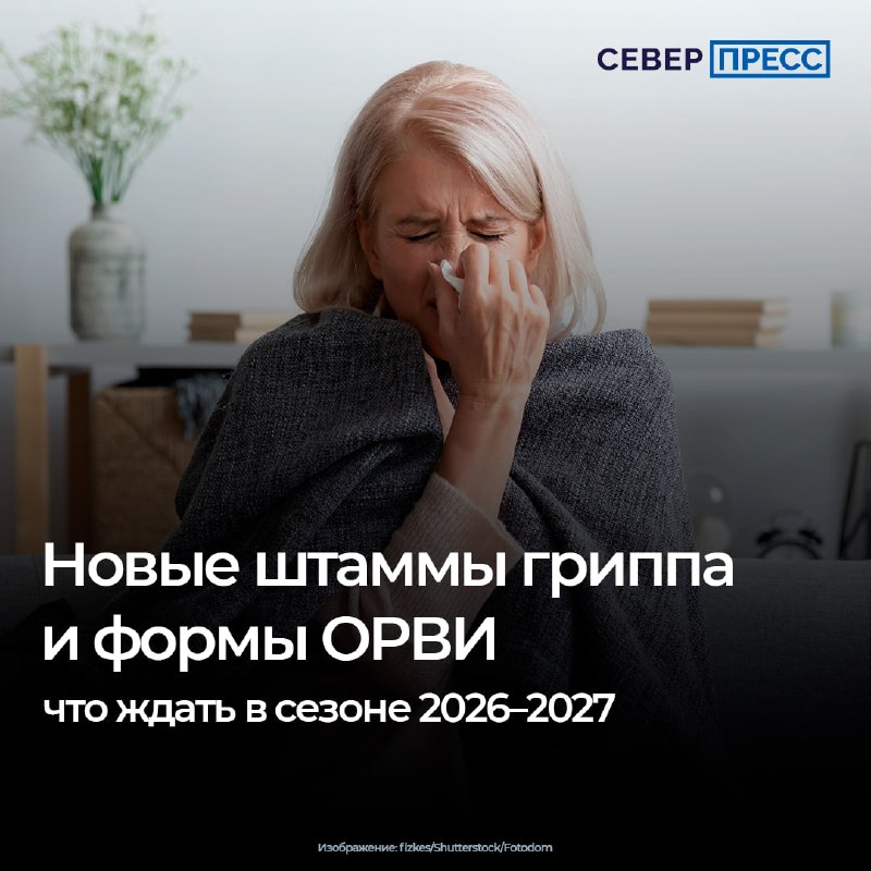 Фото поста канала  Ямал-Медиа | Салехард | Надым | Новый Уренгой | Ноябрьск