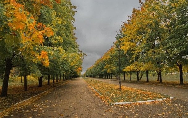 Фото поста канала  Украинские новости