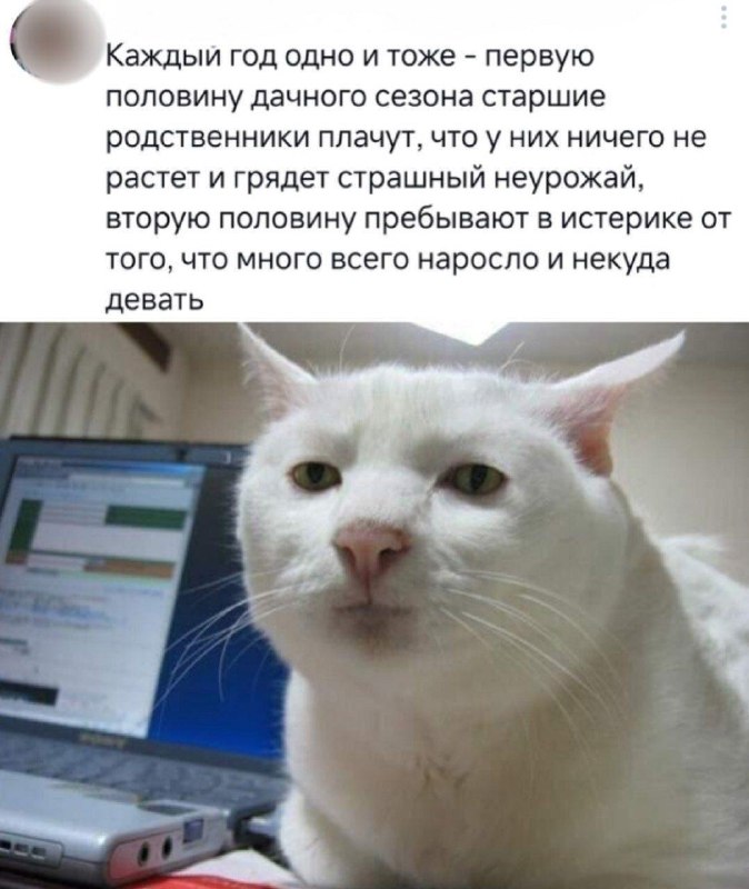 Фото поста канала  NEWS.ru | Новости