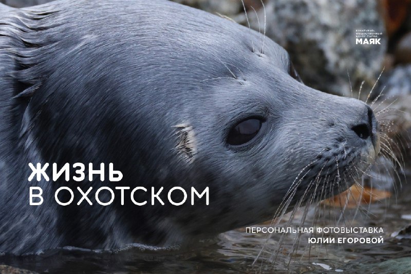 Фото поста канала  Мониторинг 49 Магаданская область