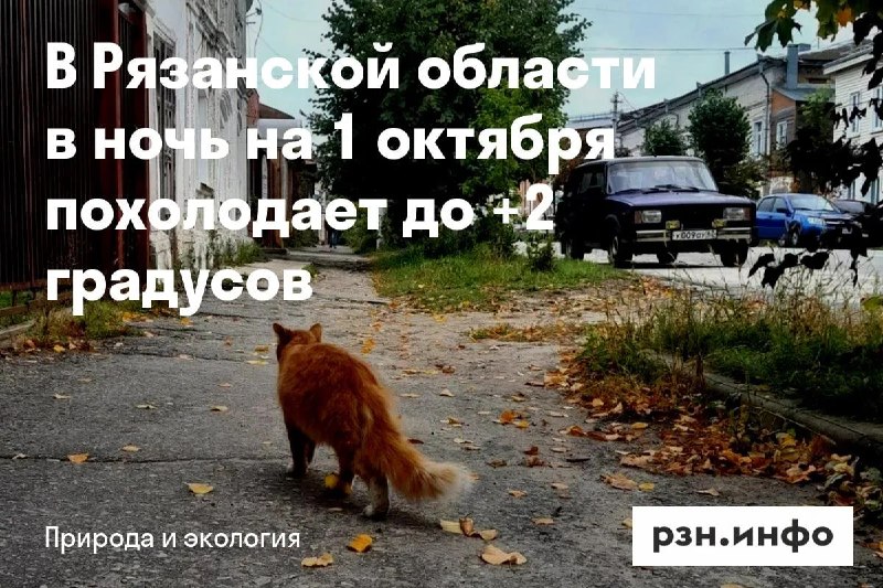 Фото поста канала  Новости Рязани • РЗН.инфо