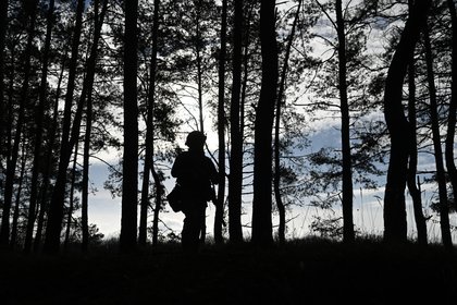 Фото поста канала  Лента Новостей