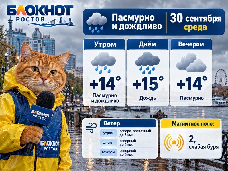Фото поста канала  Блокнот Ростов