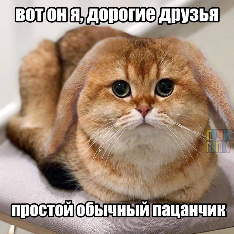 Фото поста канала  Кыштымский человечек👽✌️