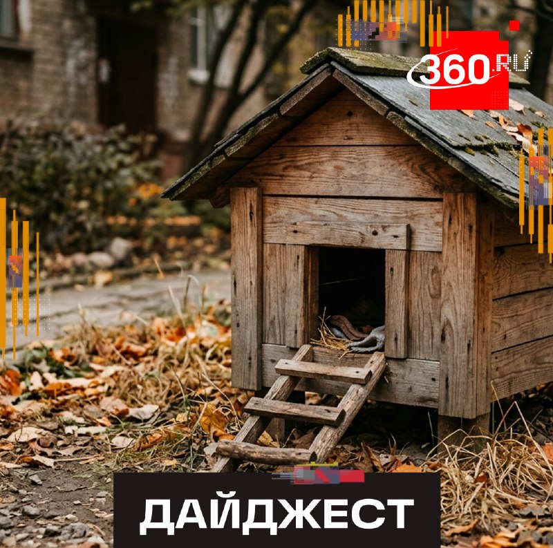 Фото поста канала  360.ru