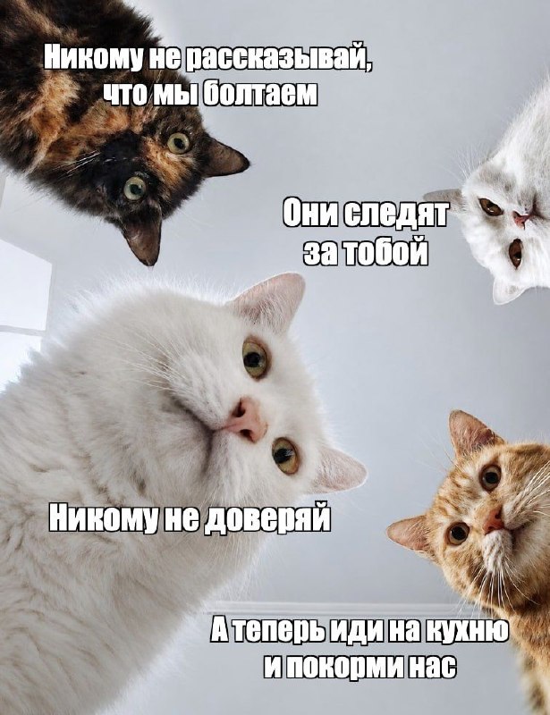 Фото поста канала  Бабка знает всё!