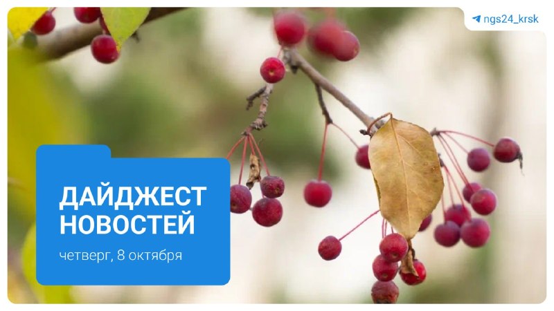 Фото поста канала  Мониторинг 24 Красноярский край