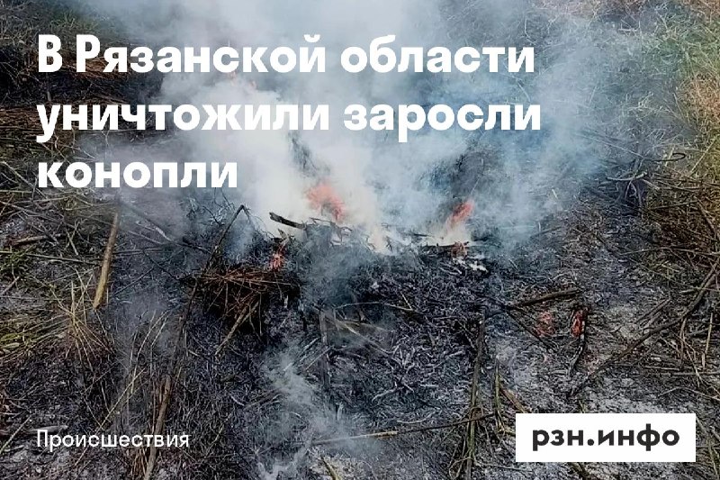 Фото поста канала  Новости Рязани • РЗН.инфо