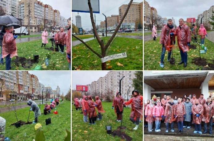 Фото поста канала  Мониторинг 51 Мурманская область