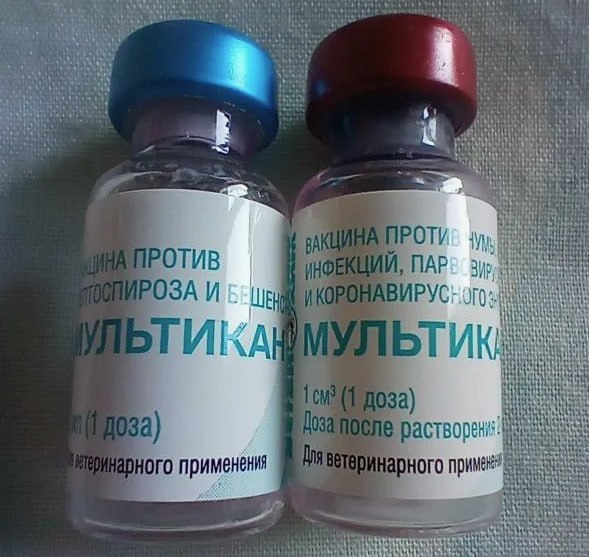 Фото поста канала  PABLO NEWS 18+