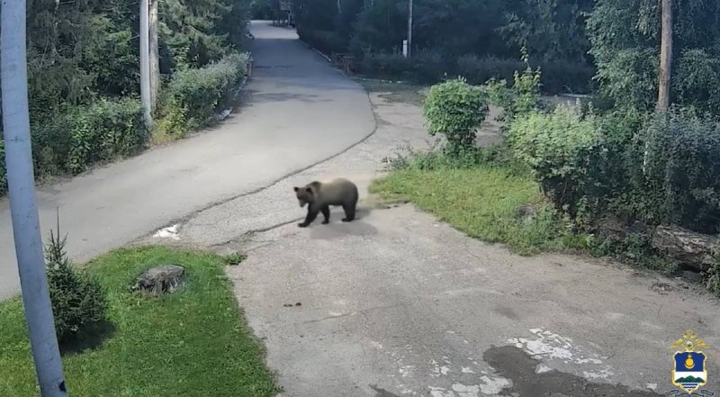 Фото поста канала  Телеграм Норильска