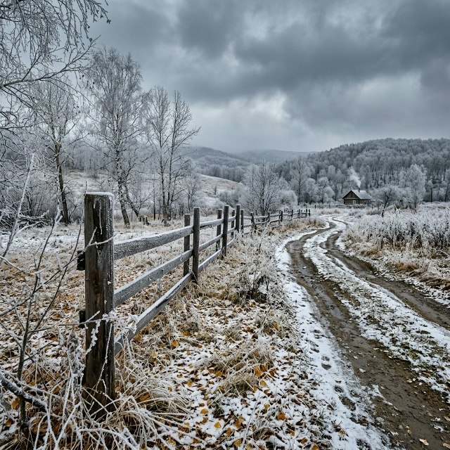 Фото поста канала Инцидент Новосибирск