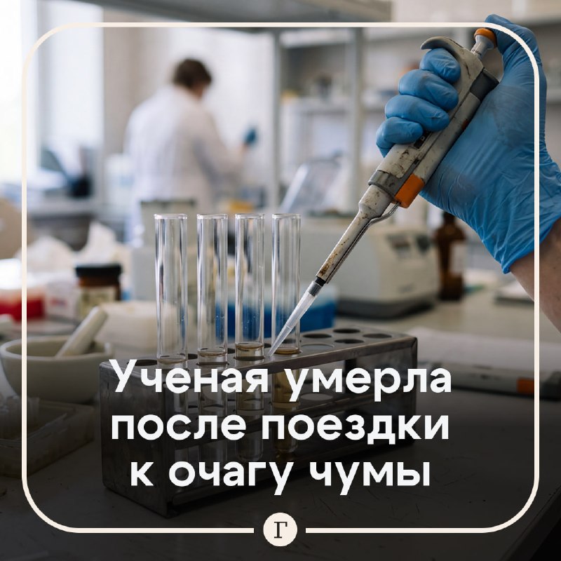 Фото поста канала  Газета.Ru