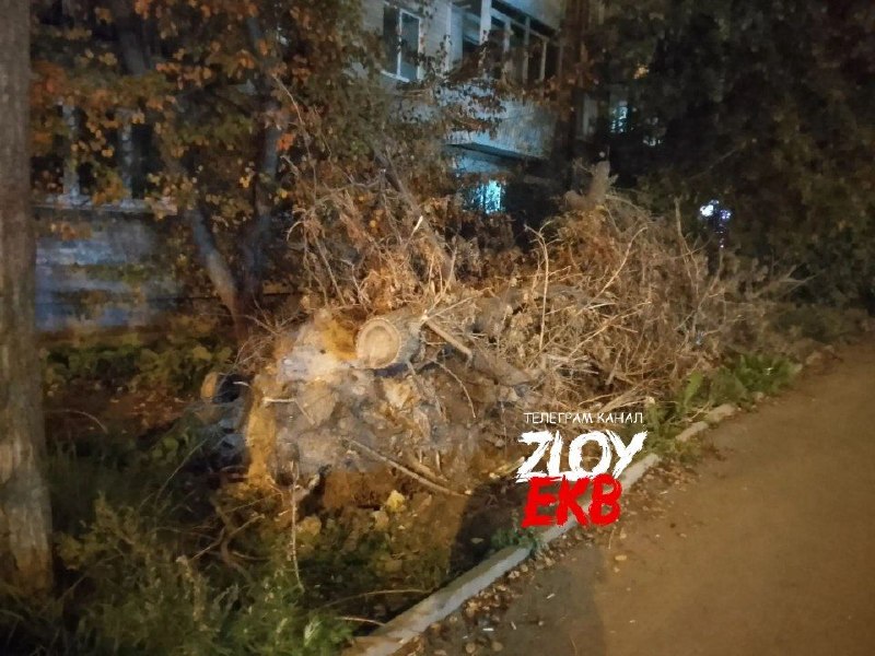 Фото поста канала  Zloy_ekb 18+ | Злой Екатеринбург