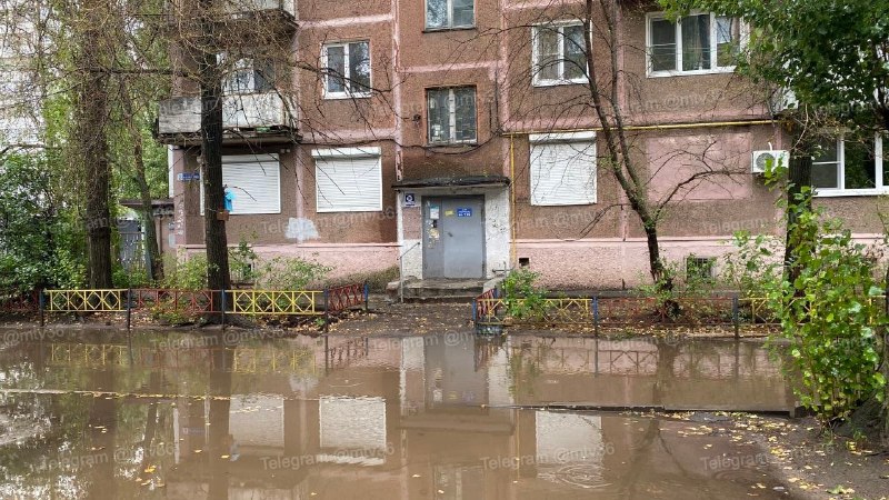 Фото поста канала Мой и твой Воронеж