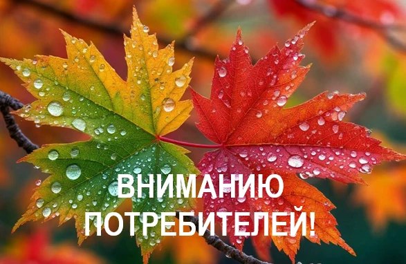 Фото поста канала  Лента новостей Крыма Z Новости Крыма