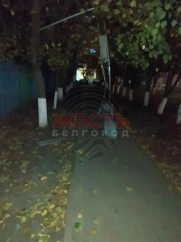 Фото поста канала  ZVoN Родины 🤙