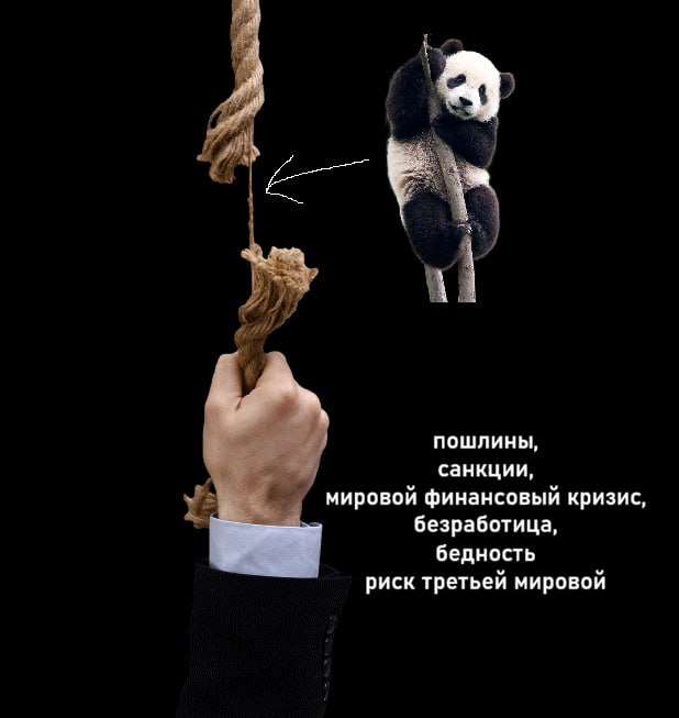 Фото поста канала  IF News