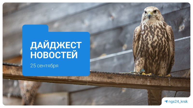 Фото поста канала  Мониторинг 24 Красноярский край