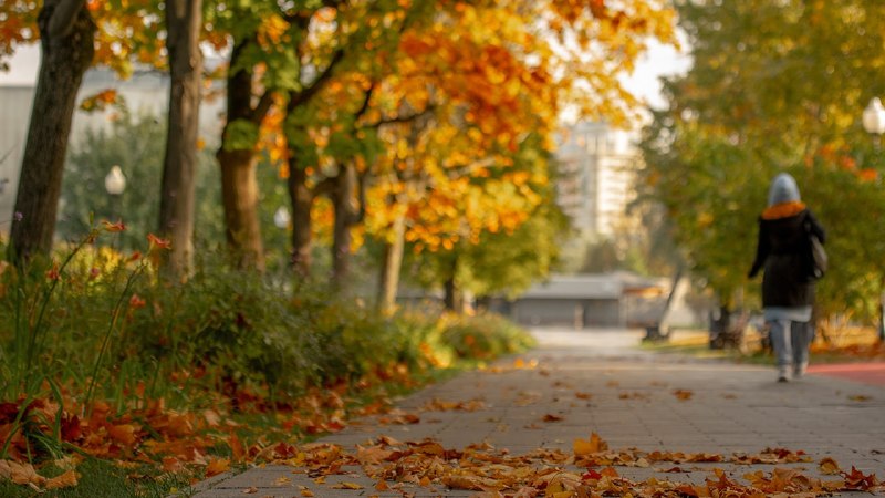 Фото поста канала  БЫСТРО