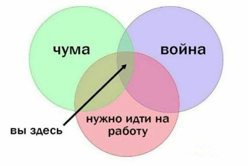 Фото поста канала  АрхСвобода