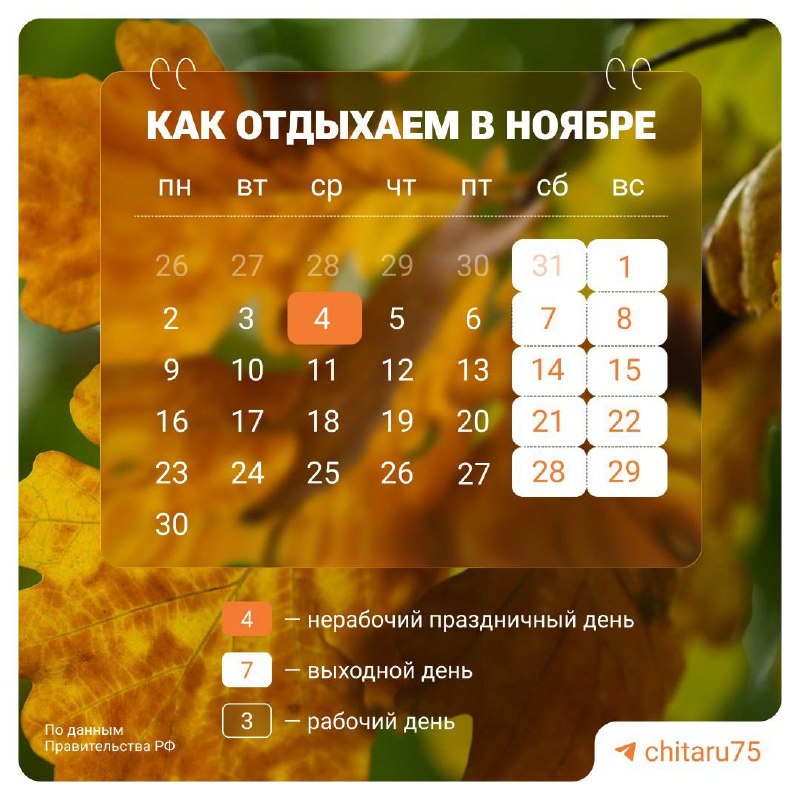 Фото поста канала Chita.Ru | Новости Читы