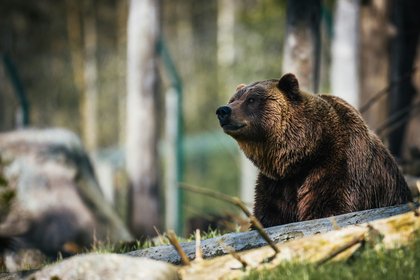 Фото поста канала  Лента Новостей