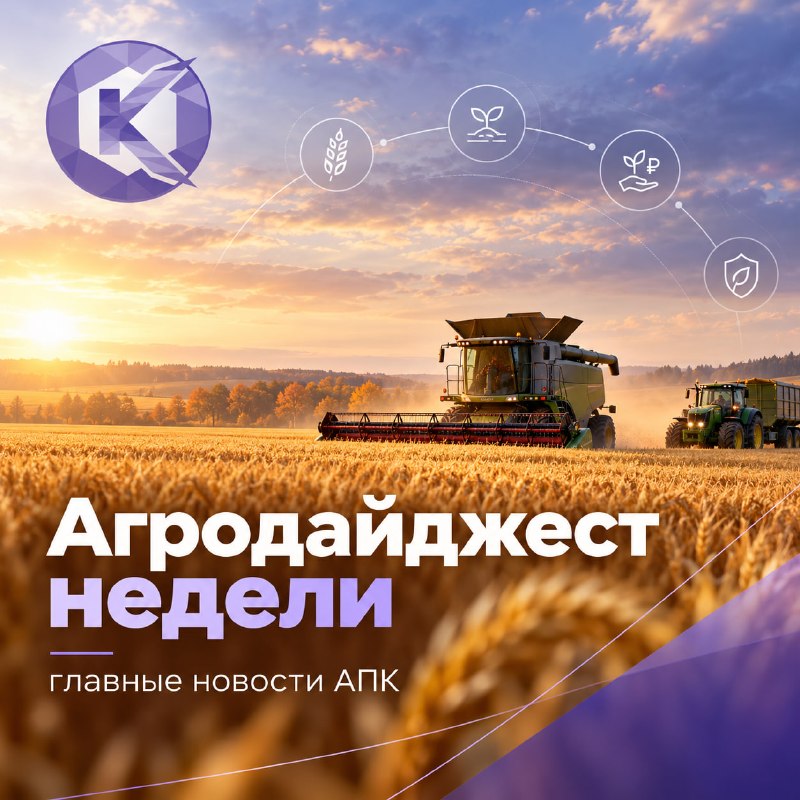 Фото поста канала  Новороссия ИНФО