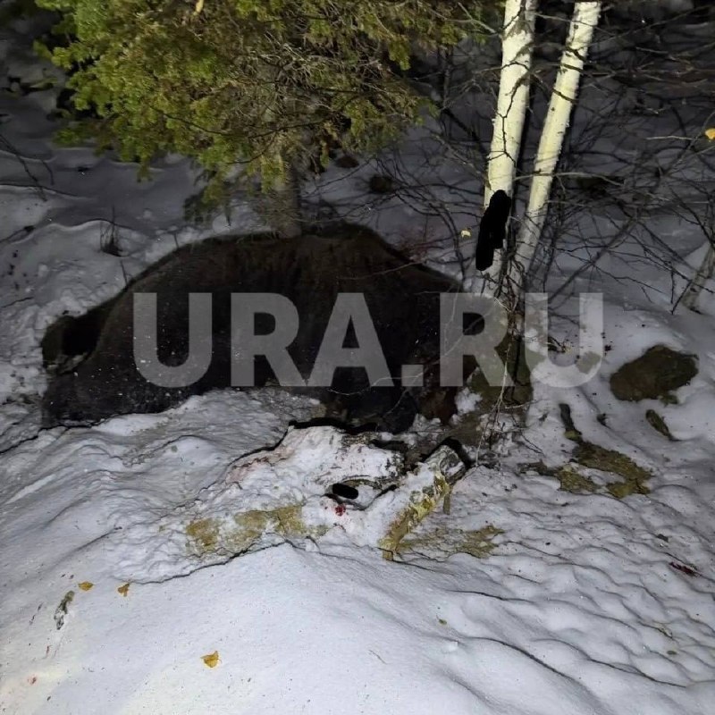 Фото поста канала  URA.RU