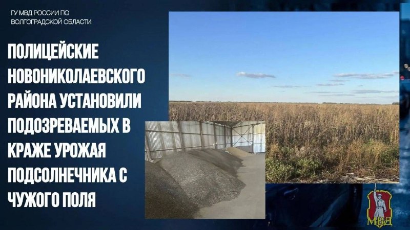 Фото поста канала  Волгоград
