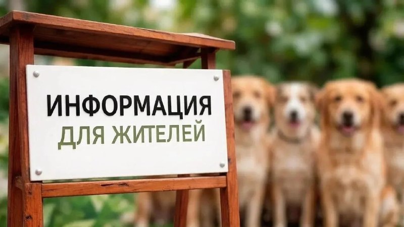 Фото поста канала  Красный Луч ЛЕНТА НОВОСТЕЙ И ОБСУЖДЕНИЙ