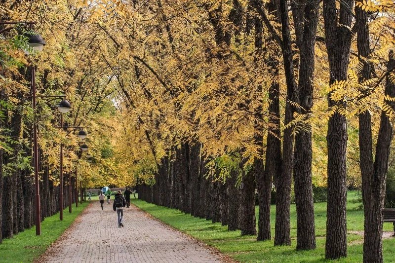 Фото поста канала  Кубанские Новости