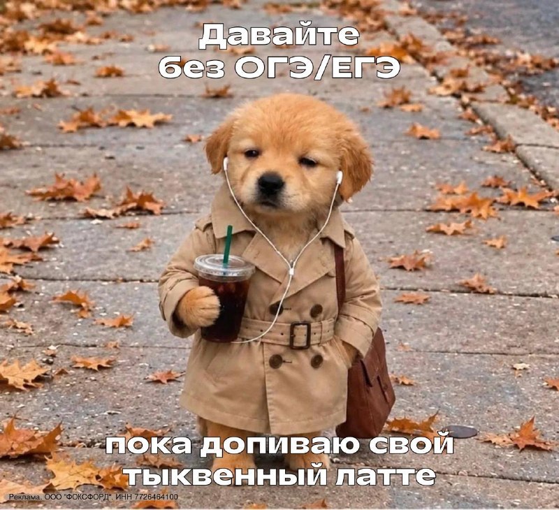 Фото поста канала люблю