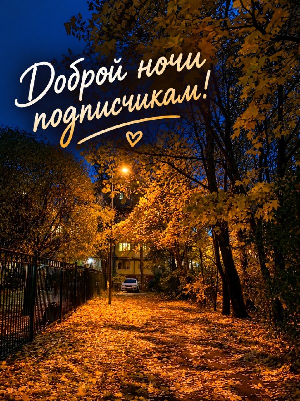 Фото поста канала  Жесть Волжский