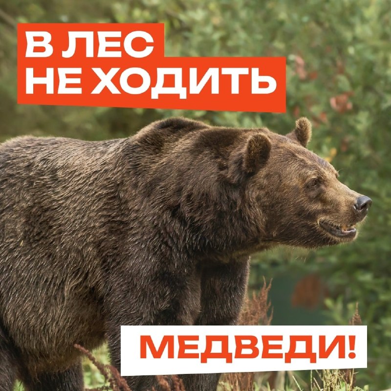 Фото поста канала  Мониторинг 24 Красноярский край