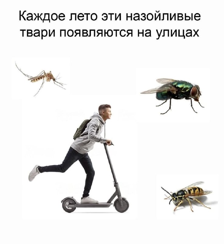 Фото поста канала  Не баг, а фича