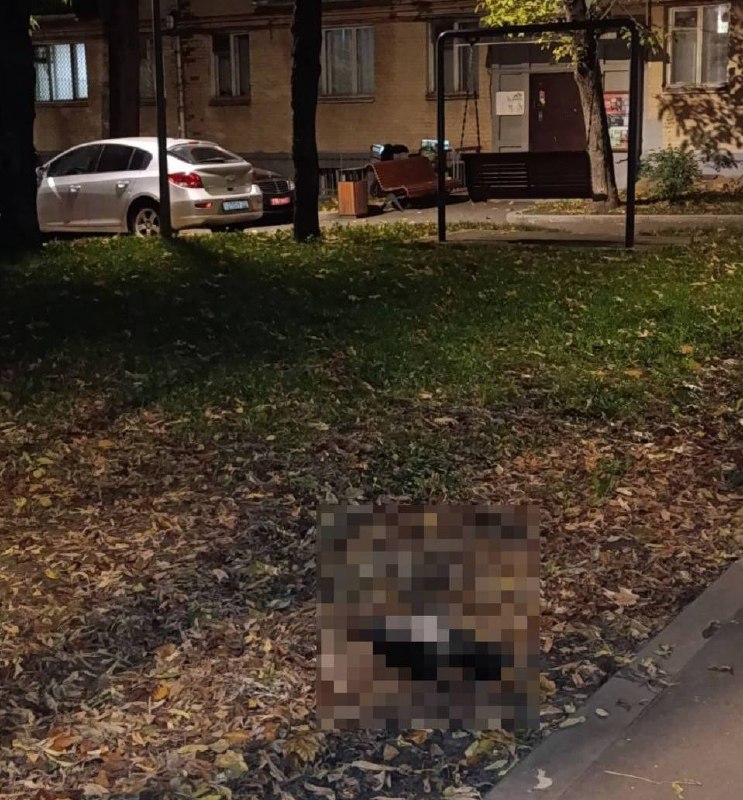 Фото поста канала  🇷🇺⚡️Сводки ополчения Новороссии Z.O.V. (ДНР, ЛНР, Украина, Война)