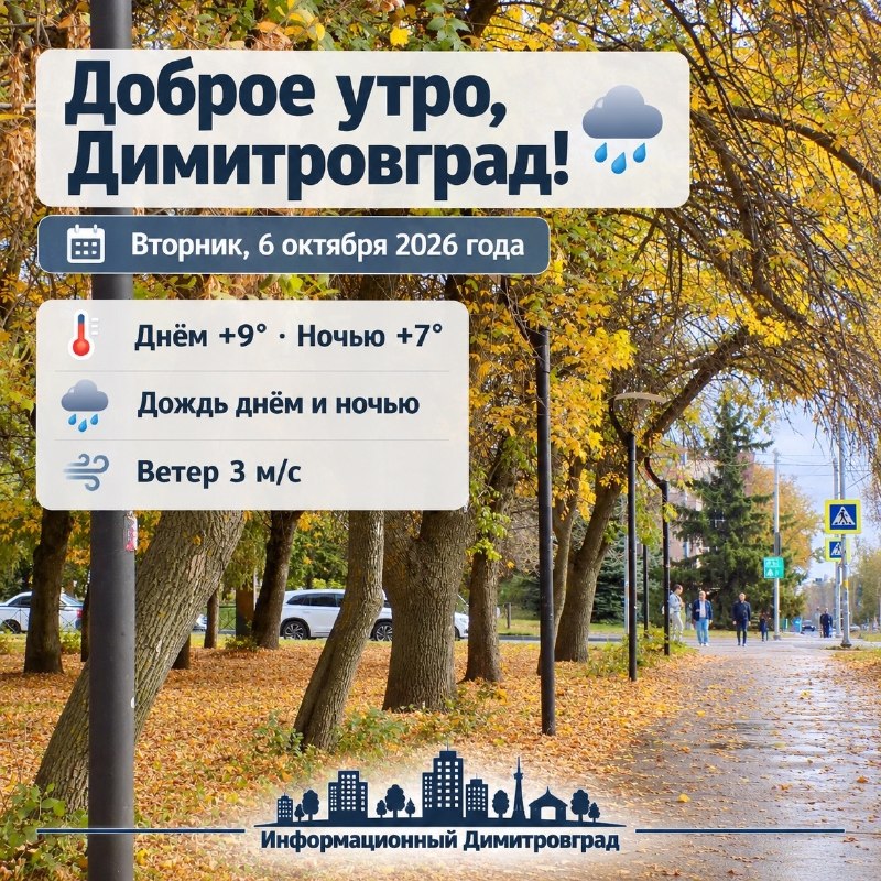 Фото поста канала  Информационный Димитровград