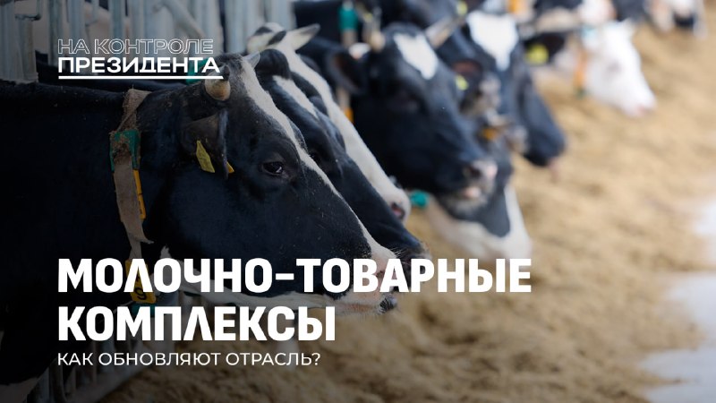 Фото поста канала  NEWS.BY