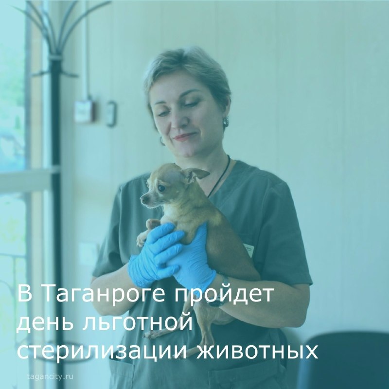 Фото поста канала  Мой Таганрог