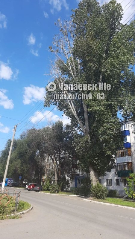 Фото поста канала  ЧАПАЕВСК life