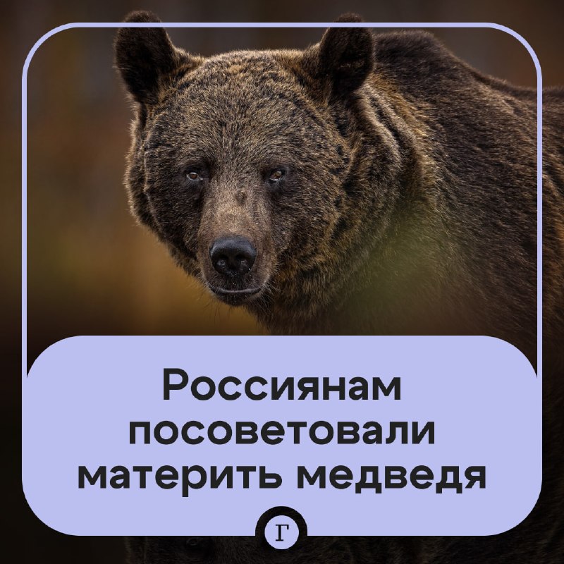 Фото поста канала  Газета.Ru