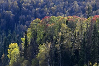 Фото поста канала  Лента Новостей