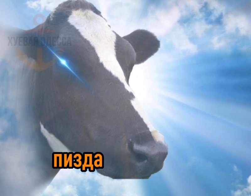 Фото поста канала Хуевая Одесса