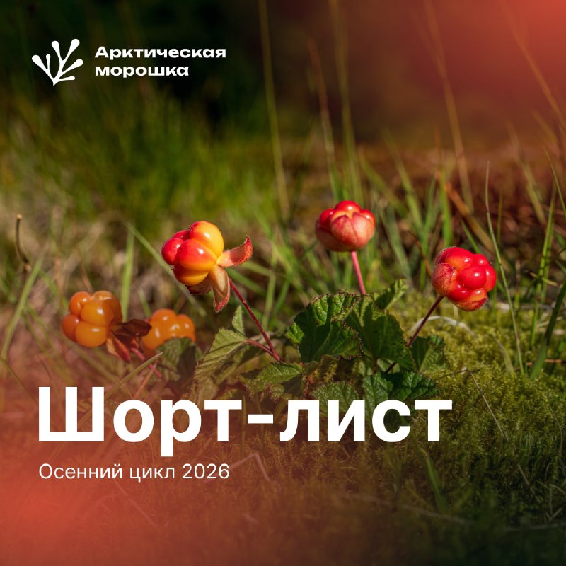 Фото поста канала  Последние мысли вслух (от Совести)