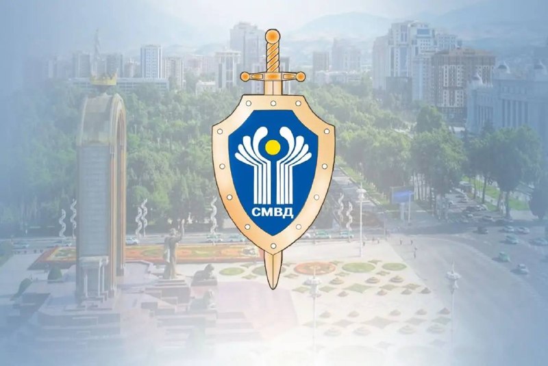 Фото поста канала СИЛОВИКИ