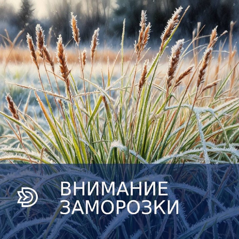 Фото поста канала  Запорожский Телеграф